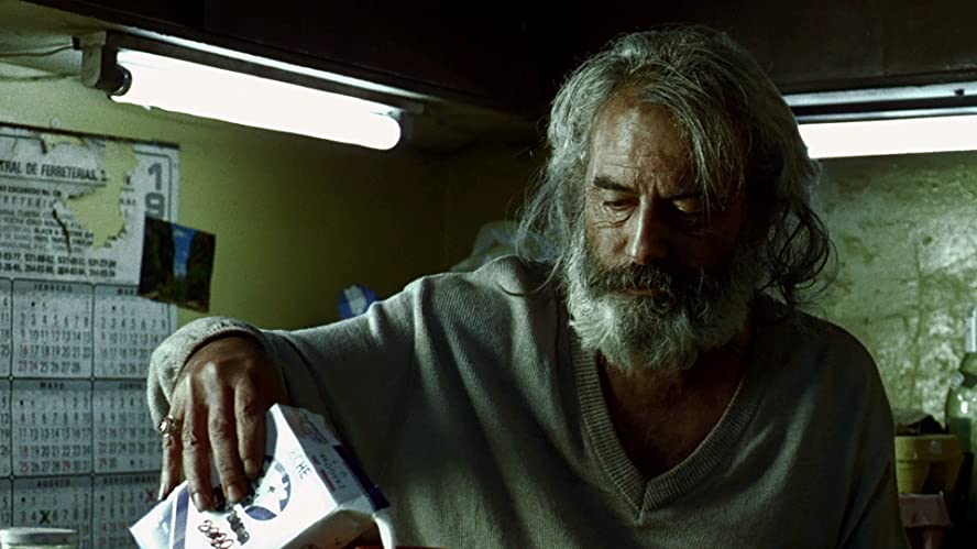 アモーレス・ペロスの画像