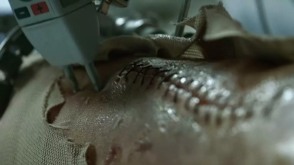 「アモーレス・ペロス」ガエル・ガルシア・ベルナルの画像