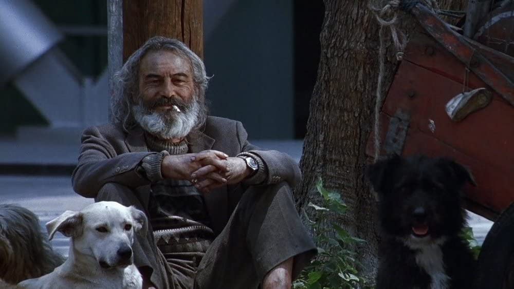 アモーレス・ペロスの画像