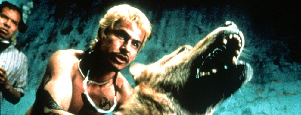 アモーレス・ペロスの画像