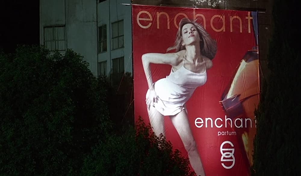 アモーレス・ペロスの画像