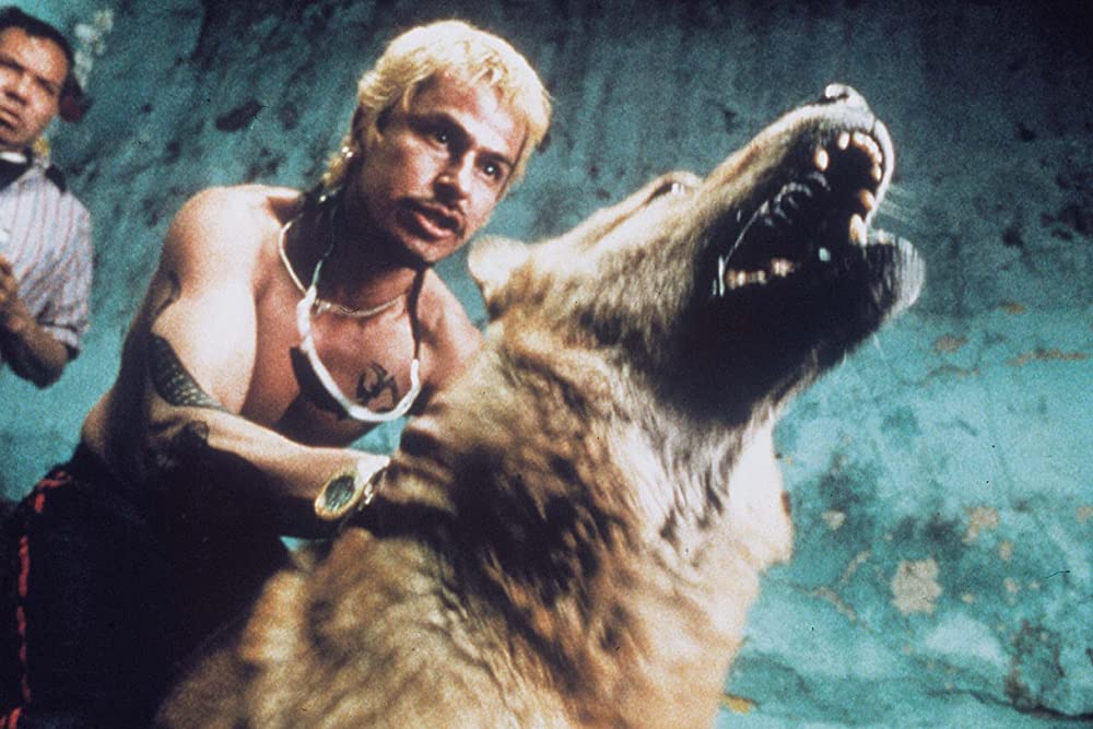 「アモーレス・ペロス」グスターボ・サンチェス・パッラの画像