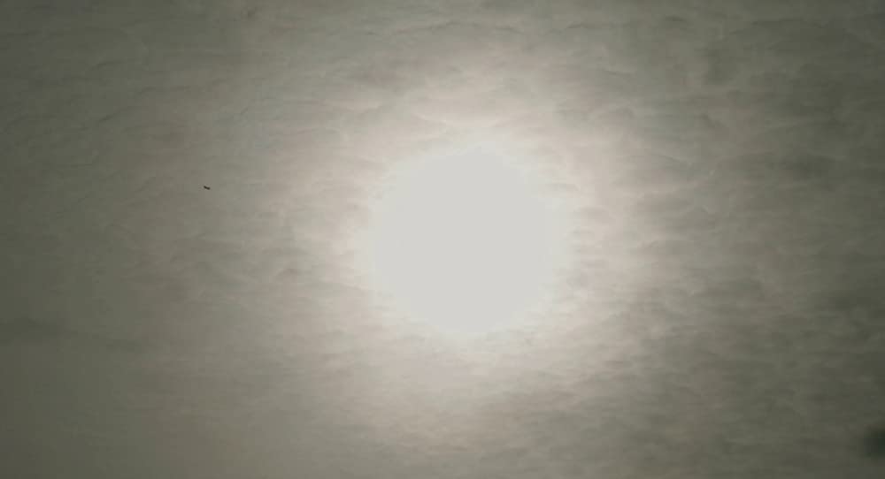 アンチヴァイラルの画像