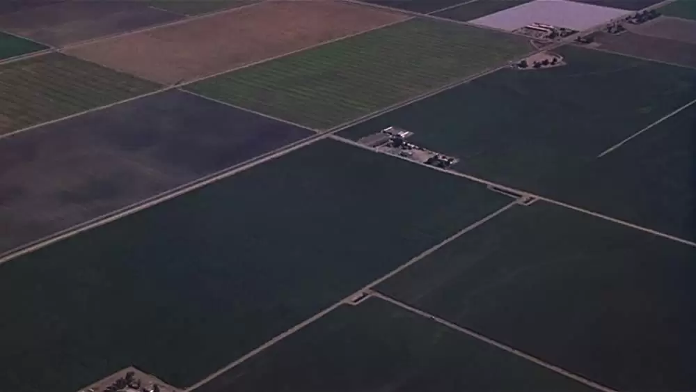 あの頃ペニー・レインとの画像