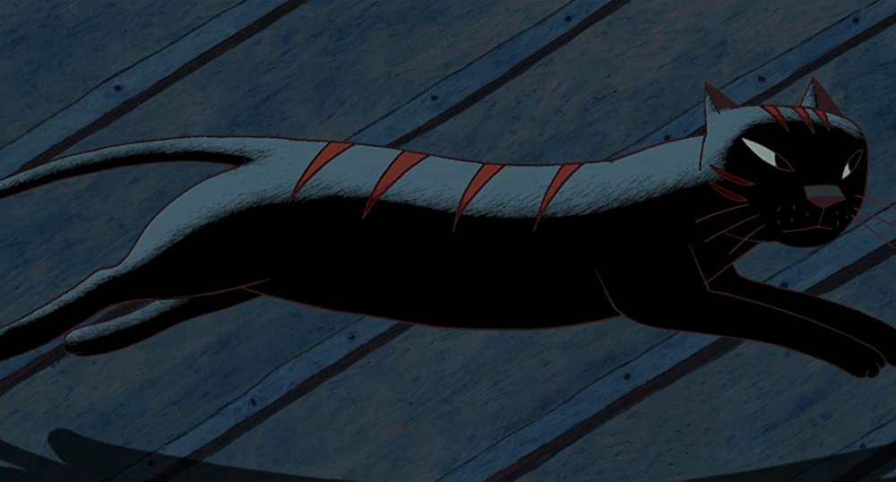 パリ猫ディノの夜の画像