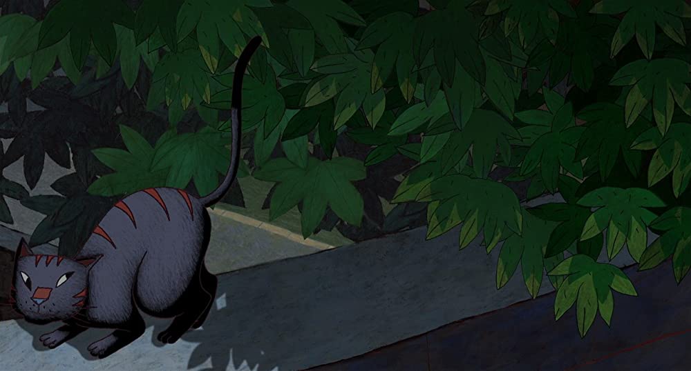 パリ猫ディノの夜の画像