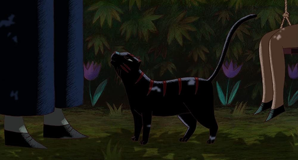 パリ猫ディノの夜の画像