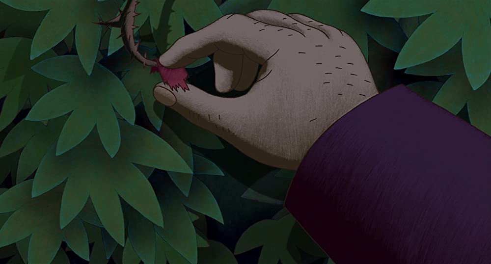 パリ猫ディノの夜の画像