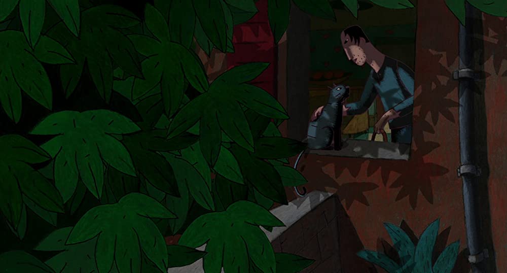 パリ猫ディノの夜の画像