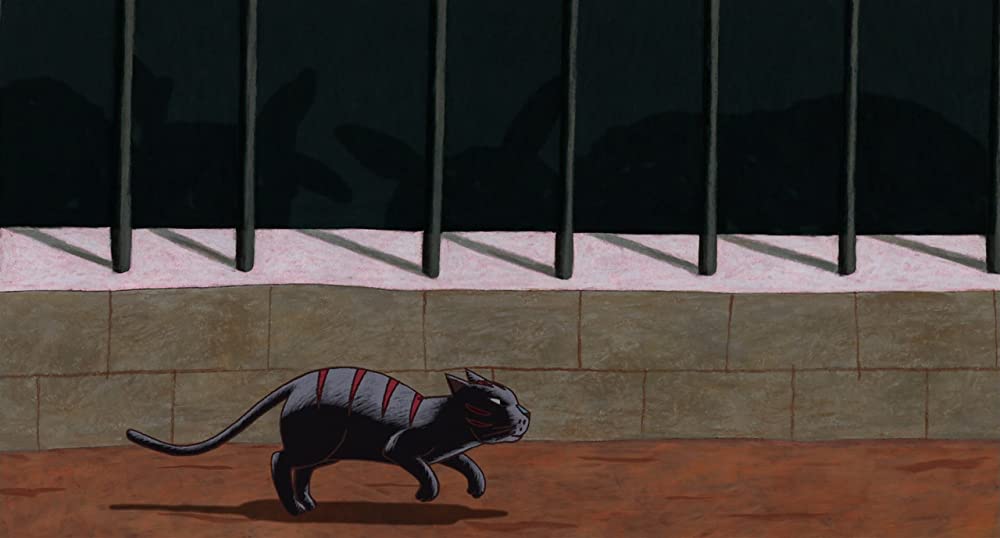 パリ猫ディノの夜の画像