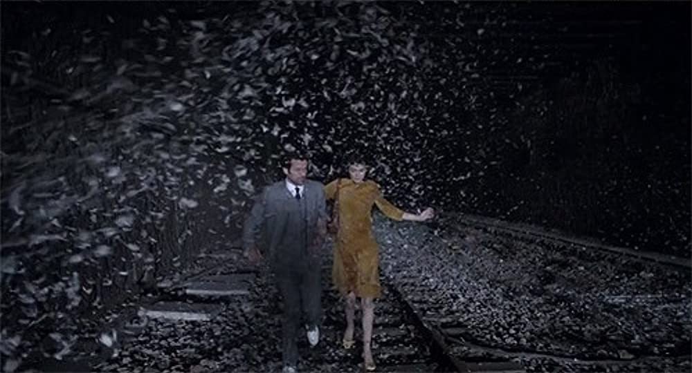 ムード・インディゴ うたかたの日々の画像