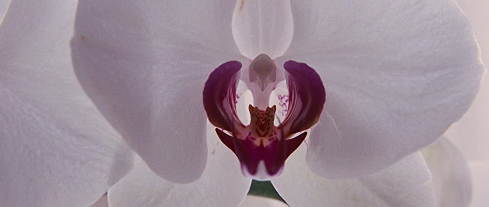 トゥ・ザ・ワンダーの画像