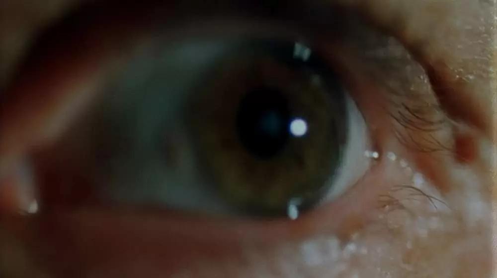 シャドウ・オブ・ヴァンパイアの画像