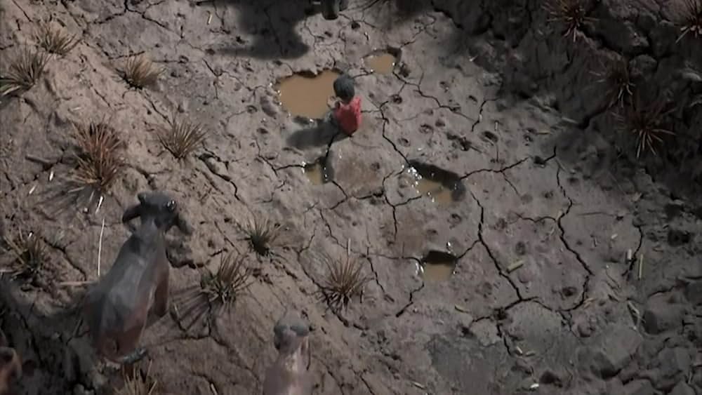 消えた画 クメール・ルージュの真実の画像