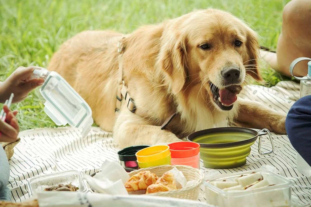 一分間だけの画像