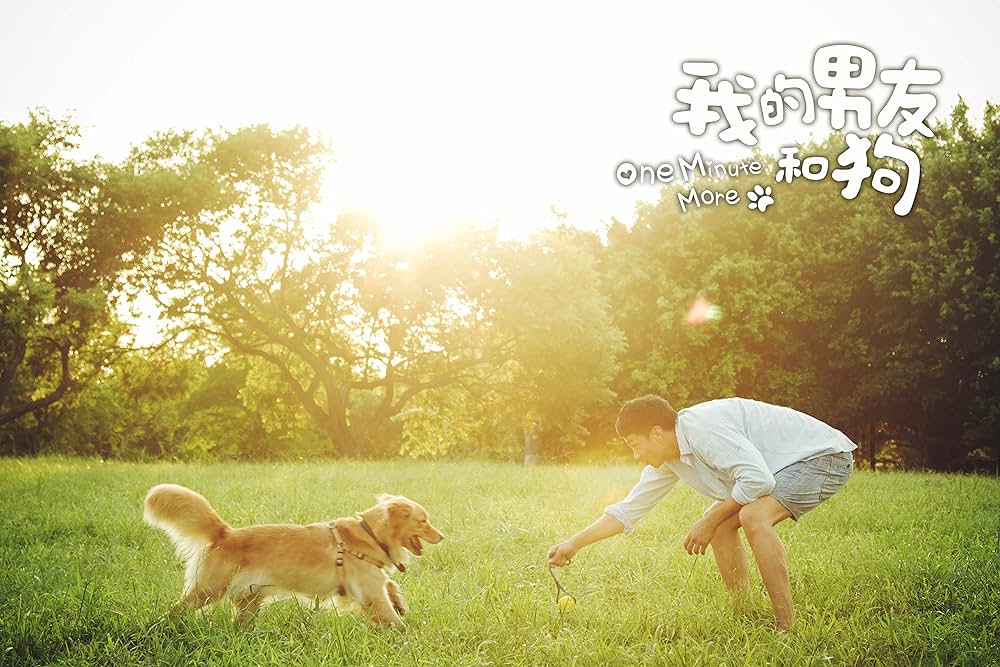 一分間だけの画像