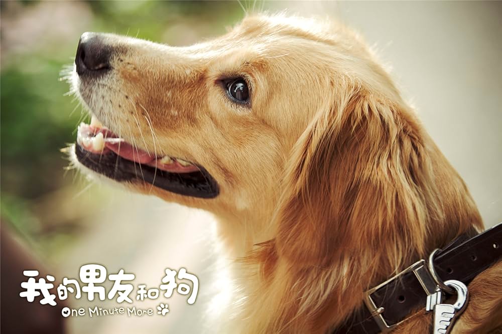 一分間だけの画像