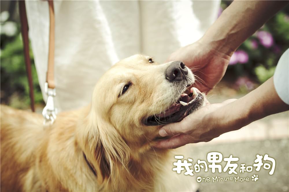 一分間だけの画像