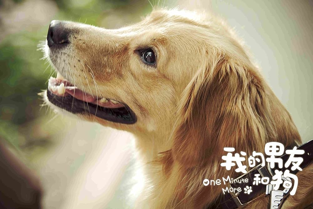 一分間だけの画像