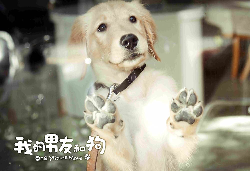 一分間だけの画像