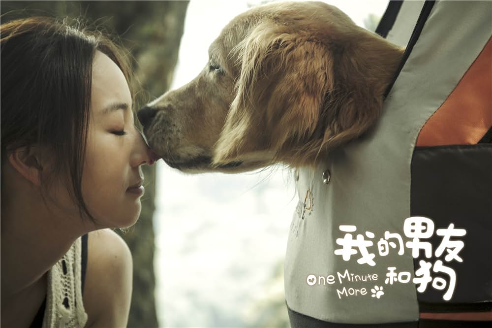 一分間だけの画像