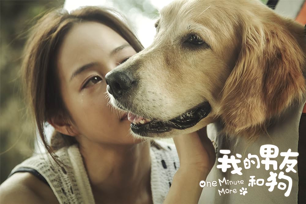 一分間だけの画像