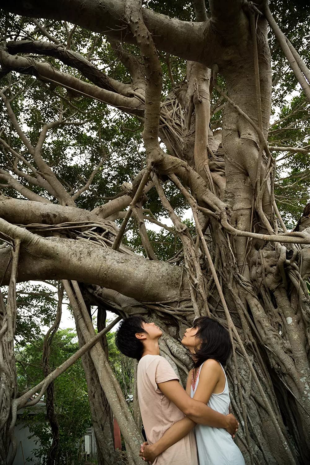 2つ目の窓の画像