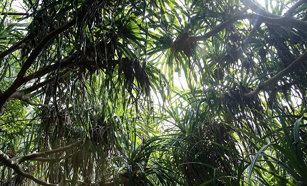 2つ目の窓の画像