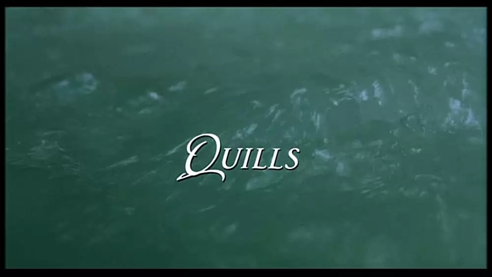 クイルズの画像