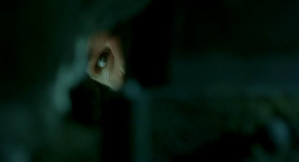 クイルズの画像