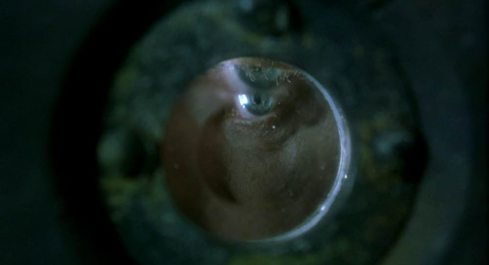 クイルズの画像