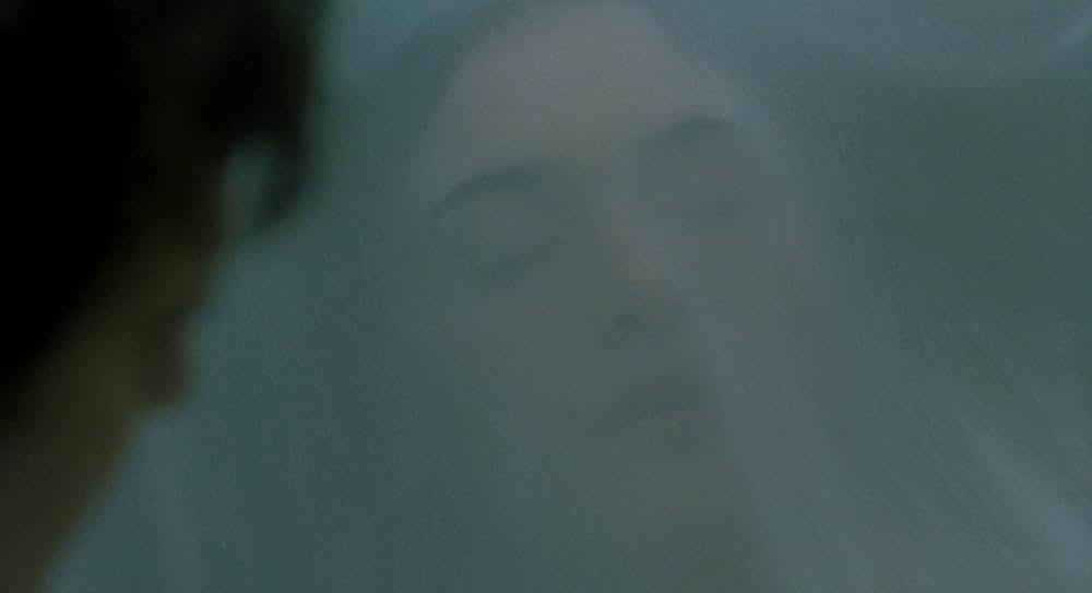 クイルズの画像