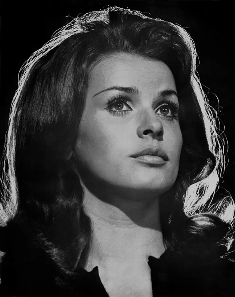 さらばベルリンの灯の画像