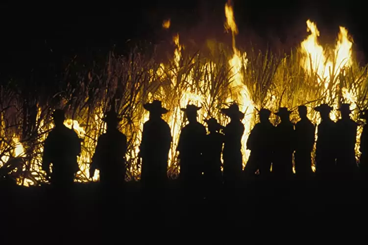 夜になるまえにの画像