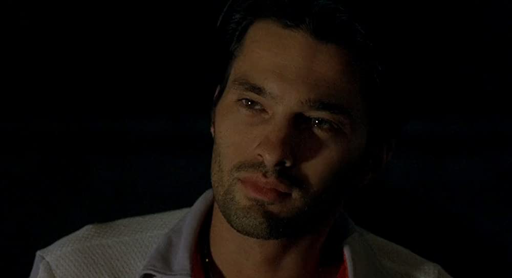 夜になるまえにの画像