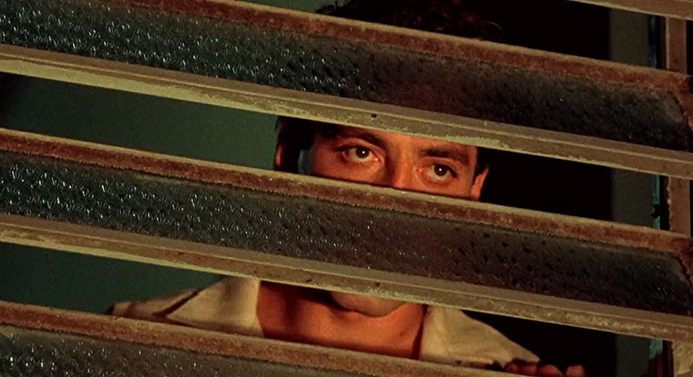 夜になるまえにの画像