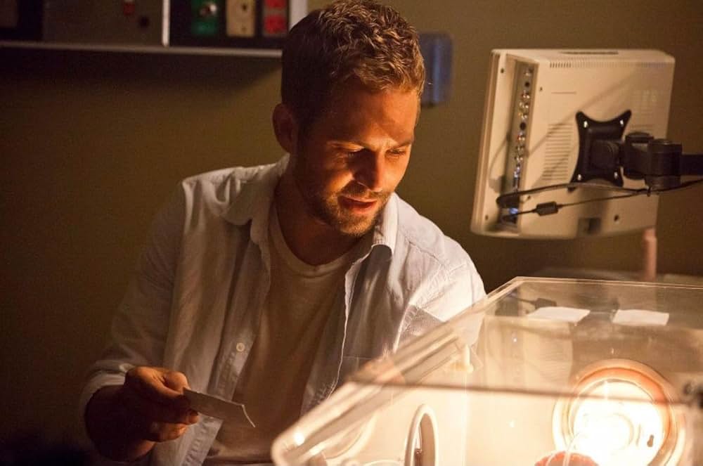 ハリケーンアワーの画像