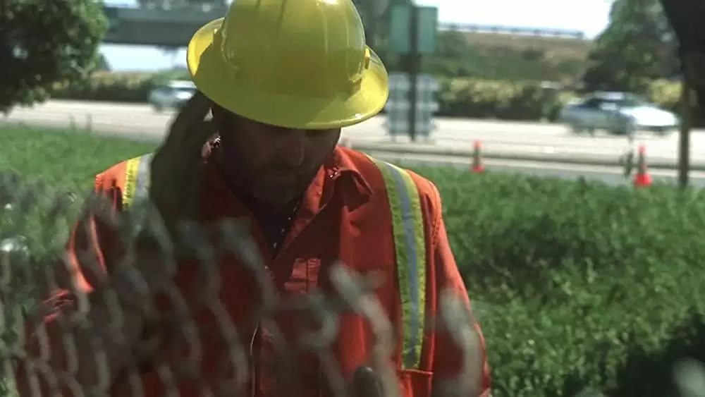 トラフィックの画像