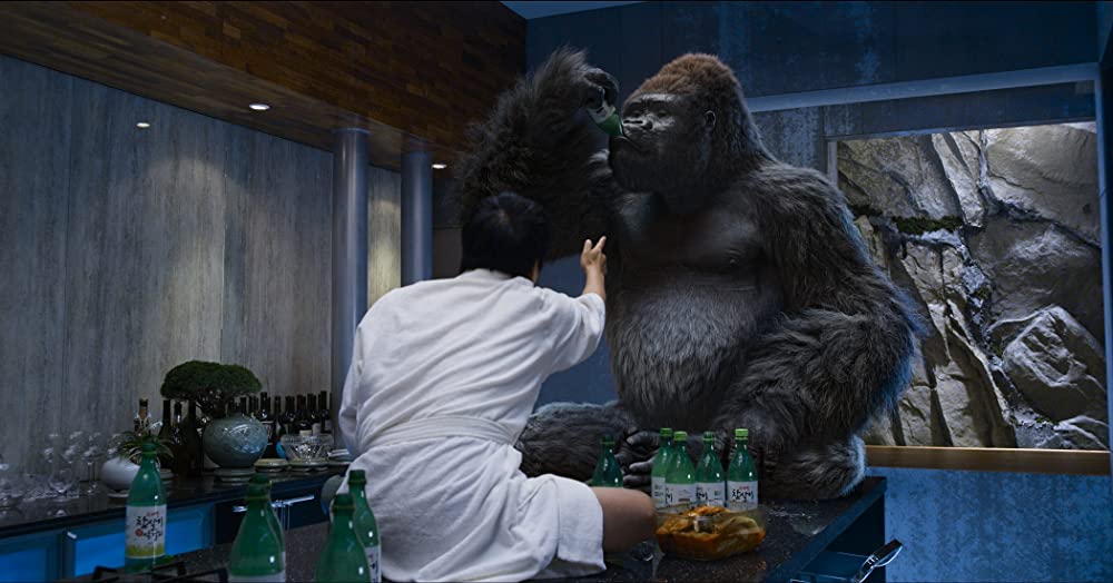 ミスターGO!の画像