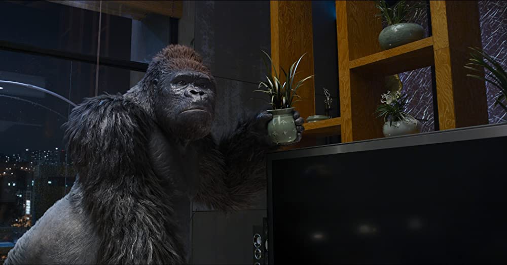 ミスターGO!の画像