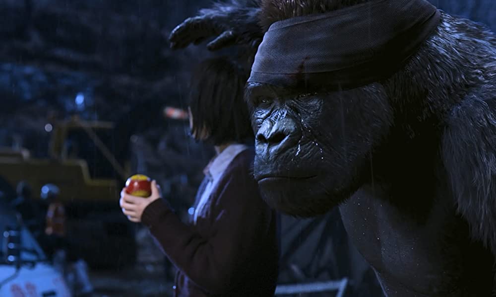 ミスターGO!の画像