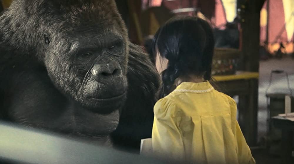 ミスターGO!の画像