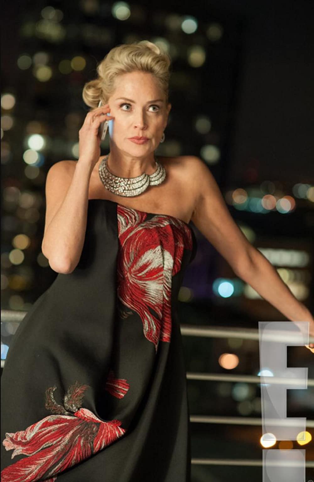 ジゴロ・イン・ニューヨークの画像