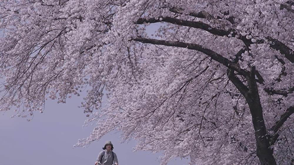 リトル・フォレスト 冬・春の画像