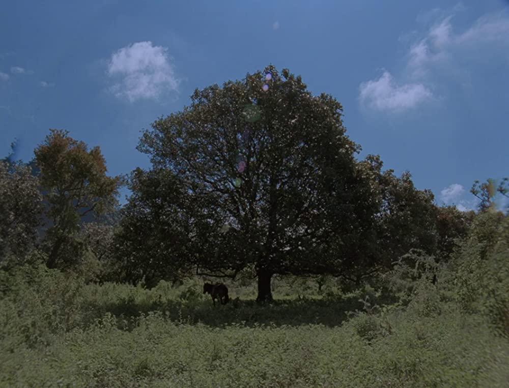 「闇のあとの光」の画像