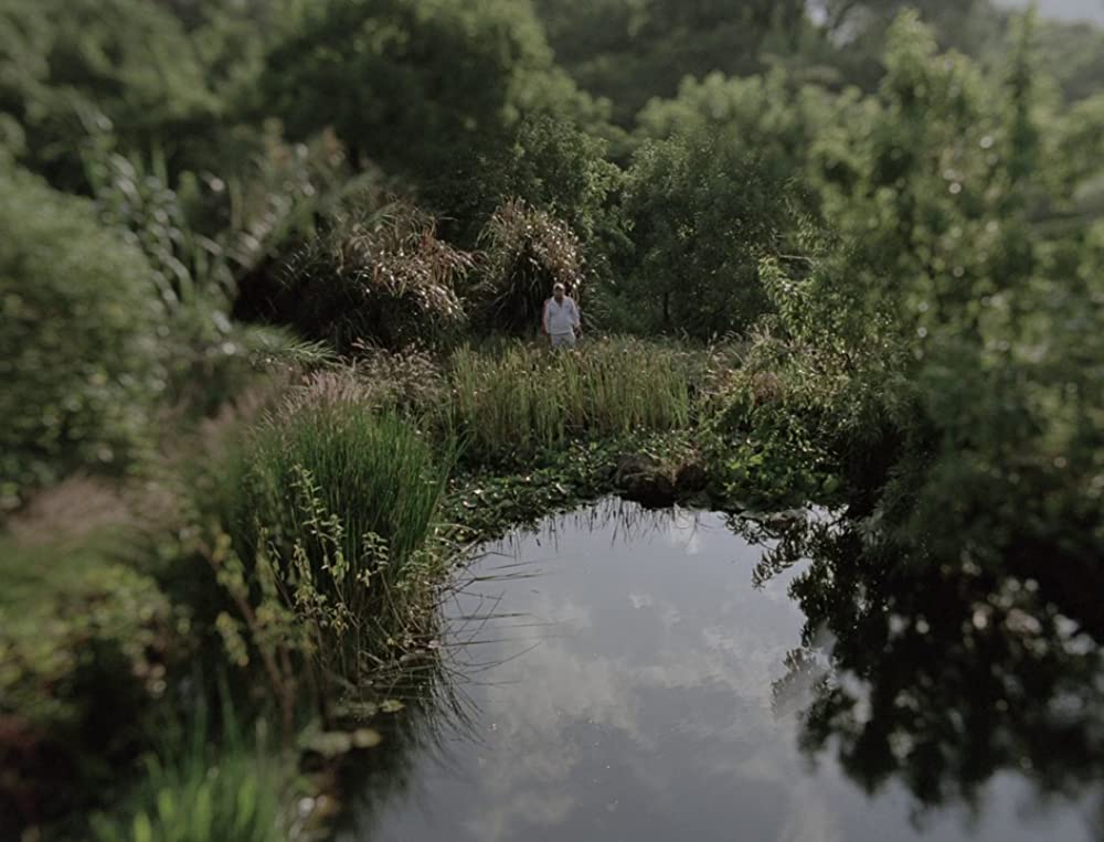 闇のあとの光の画像