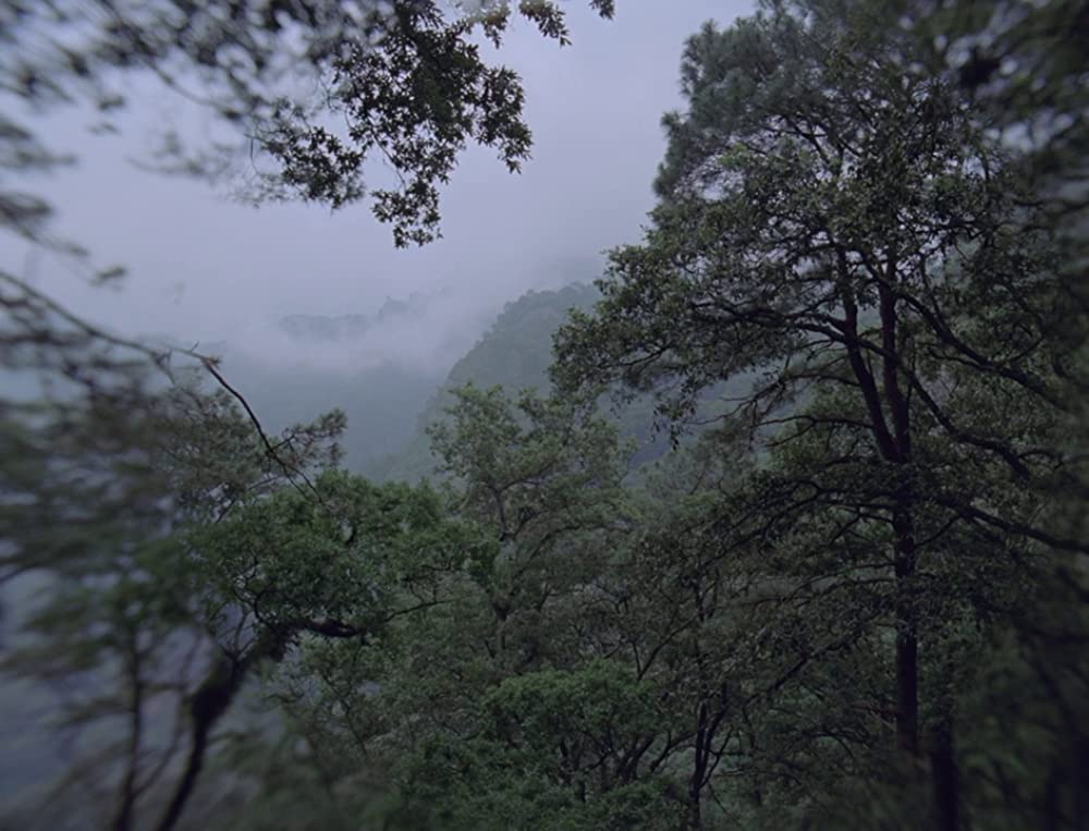 闇のあとの光の画像