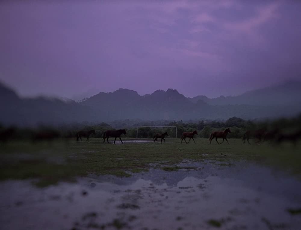 闇のあとの光の画像