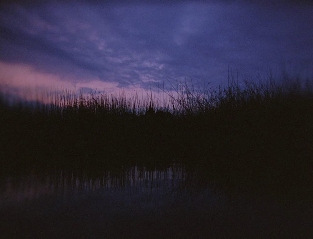 闇のあとの光の画像