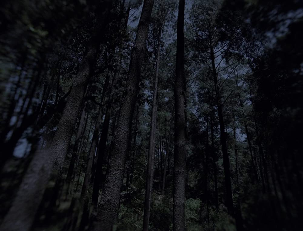 闇のあとの光の画像